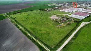 Teren intravilan cu suprafata de 58.340 mp, in Sanmartinul Sarbesc - imagine 17