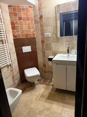 de vanzare apartament 4 camere , 115 mp, Unirii Nord, - imagine 3
