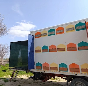 Camion Apicol - imagine 2