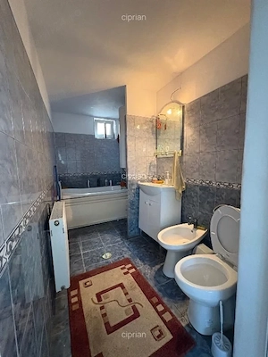 Proprietate cu 2 case caramida ICIL. - imagine 7