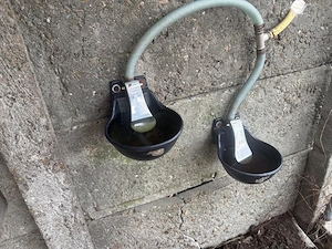 mulgătoare + hrănitor + volieră + adăpători