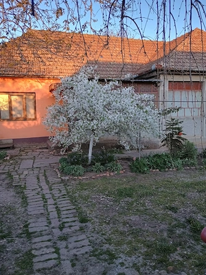 Vand casa la sat in judetul Timis