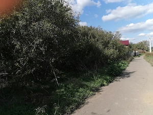 Teren Dascalu ,Ilfov