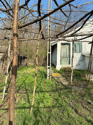 Închiriez casă Sat Banca jud.Bacău  - imagine 5