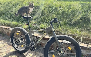 Bicicletă Cygnus Fat Bike    Putin folosită   roți 26.4