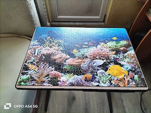 un puzzle cu pesti - imagine 2