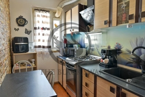 Apartament cu 3 camere de vanzare | Mobilat | Malu Rosu | Comision 0% - imagine 9