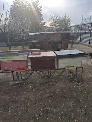 Vand 5 Stupi goi fara rame 