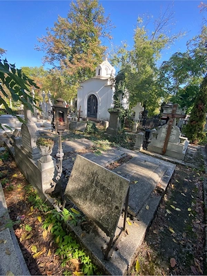 Locuri de veci Cimitirul Bellu Ortodox - imagine 4