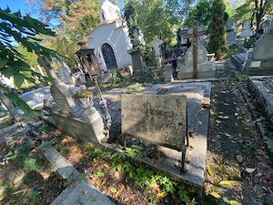 Locuri de veci Cimitirul Bellu Ortodox - imagine 2
