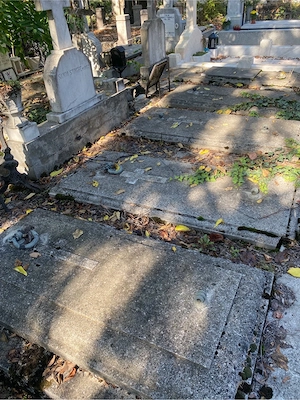 Locuri de veci Cimitirul Bellu Ortodox - imagine 5