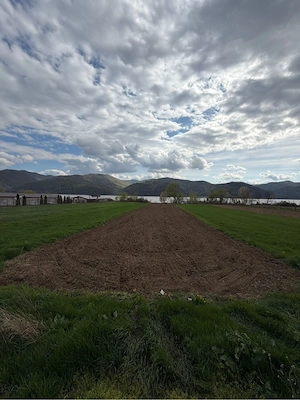 Teren pe Clisura Dunarii cu iesire directa la Dunare - imagine 2