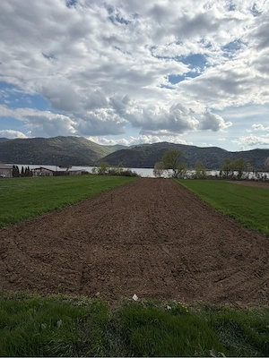 Teren pe Clisura Dunarii cu iesire directa la Dunare - imagine 3