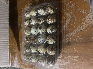 Ouă de prepeliță  - imagine 4