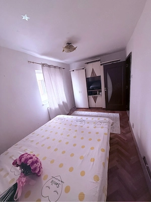 apartament cu 3 camere in timisoara