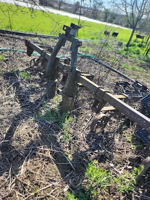 Vand Prasitoare de porumb