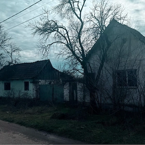 vand casa judetul arad sat rapsig langa ineu