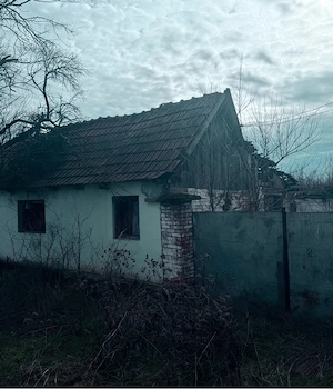 vand casa judetul arad sat rapsig langa ineu - imagine 2