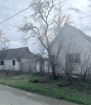 vand casa judetul arad sat rapsig langa ineu - imagine 3