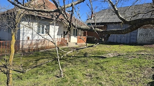 Casa in Manau,Ulmeni - imagine 6