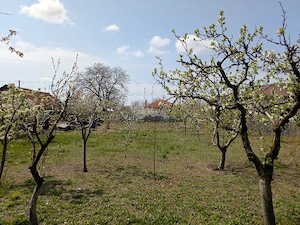 Loc de casa de vanzare, 845mp, Oreavu - imagine 5