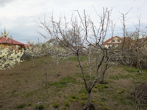 Loc de casa de vanzare, 845mp, Oreavu - imagine 4