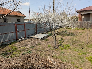 Loc de casa de vanzare, 845mp, Oreavu - imagine 6