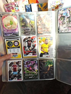 Album Pokemon - imagine 2