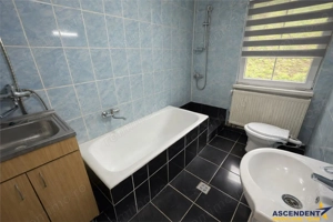 Casa cu 650 mp teren,zona linistita,curte verde,potential extindere,Gheorghe Doja, Targu Mures - imagine 8