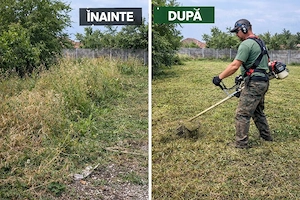 Curăț terenuri, tund iarbă   Arad și împrejurimi