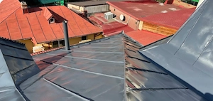 Vopsim acoperișuri case   hale   garduri beton , tabla  pavele etc - imagine 2