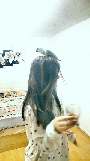 Micul Alexander 2 ani - imagine 3