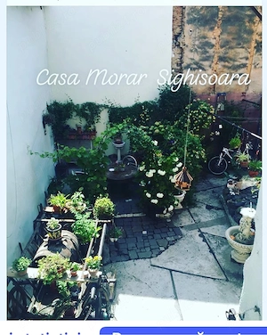 vand casa cetatea sighisoara - imagine 4