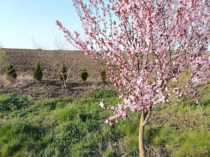 vind terenuri cu schite cadastru notar direct prop ite cadastru notar direct prop sunați pentru  inf