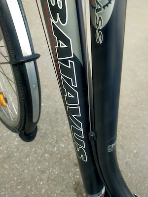 Batavus roti 28 impecabila - imagine 2