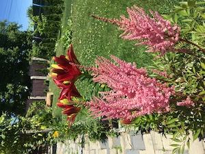 casa premium independenta energetic - imagine 7