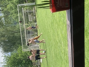 casa premium independenta energetic - imagine 10