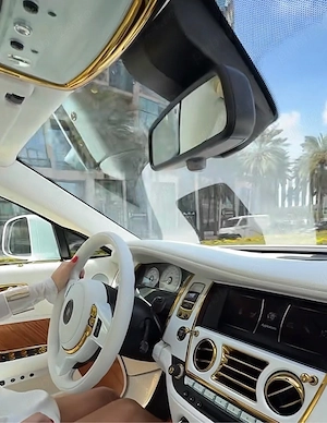 Șofer Profesionist (B)   Experiență 10 ani | Personal   Livrări