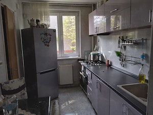 3 camere Almasul Mare etaj 1 - imagine 3