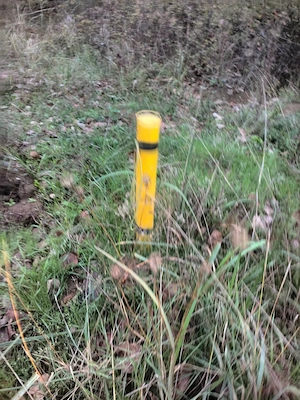 TerenURI COMISION *0* pt.parcelare & industrial centura & extravilan pe Alparea si Cheriu - imagine 5