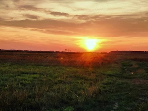 TerenURI COMISION *0* pt.parcelare & industrial centura & extravilan pe Alparea si Cheriu - imagine 10