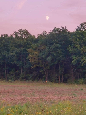 TerenURI COMISION *0* pt.parcelare & industrial centura & extravilan pe Alparea si Cheriu - imagine 6