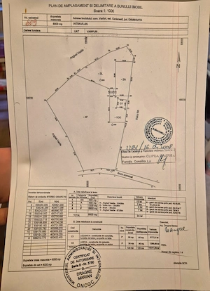 Teren Intravilan Carlanesti-Varfuri-Pucioasa