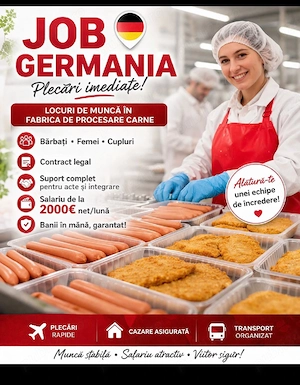 Locuri de muncă in Germania in abatoare și construcții 
