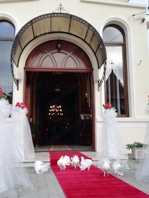 Porumbei albi  - imagine 2