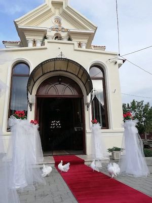 Porumbei albi  - imagine 3