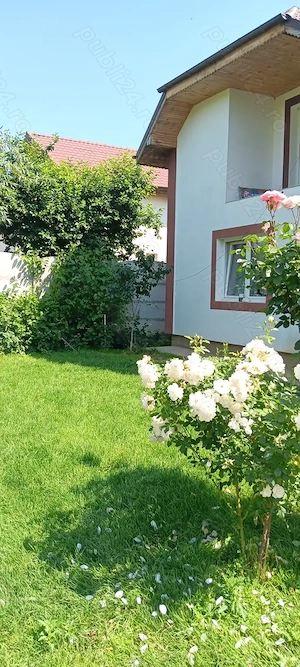 Cornetu DN 6 imediat după Bragadiru  - imagine 2