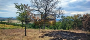 Teren generos 2186 mp cu casă bătrânească – Copăcești, județul Vrancea - imagine 3