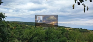 Teren generos 2186 mp cu casă bătrânească – Copăcești, județul Vrancea - imagine 2