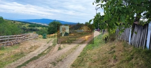 Teren generos 2186 mp cu casă bătrânească – Copăcești, județul Vrancea - imagine 7